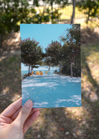 St Pete Pier Beach Chairs | Photography Print 5x7